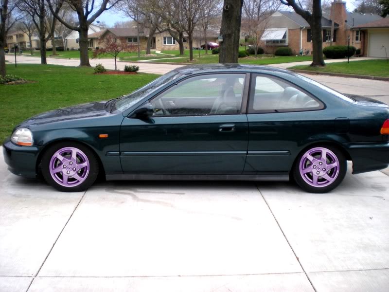 Name: Scottrims-purple.jpg
Views: 154
Size: 92.7 KB
