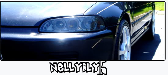 Name:  nellybly555.jpg
Views: 32
Size:  29.5 KB