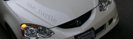 Name:  Turtlesig.jpg
Views: 15
Size:  17.0 KB