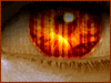 Name:  eye4.gif
Views: 53
Size:  25.4 KB