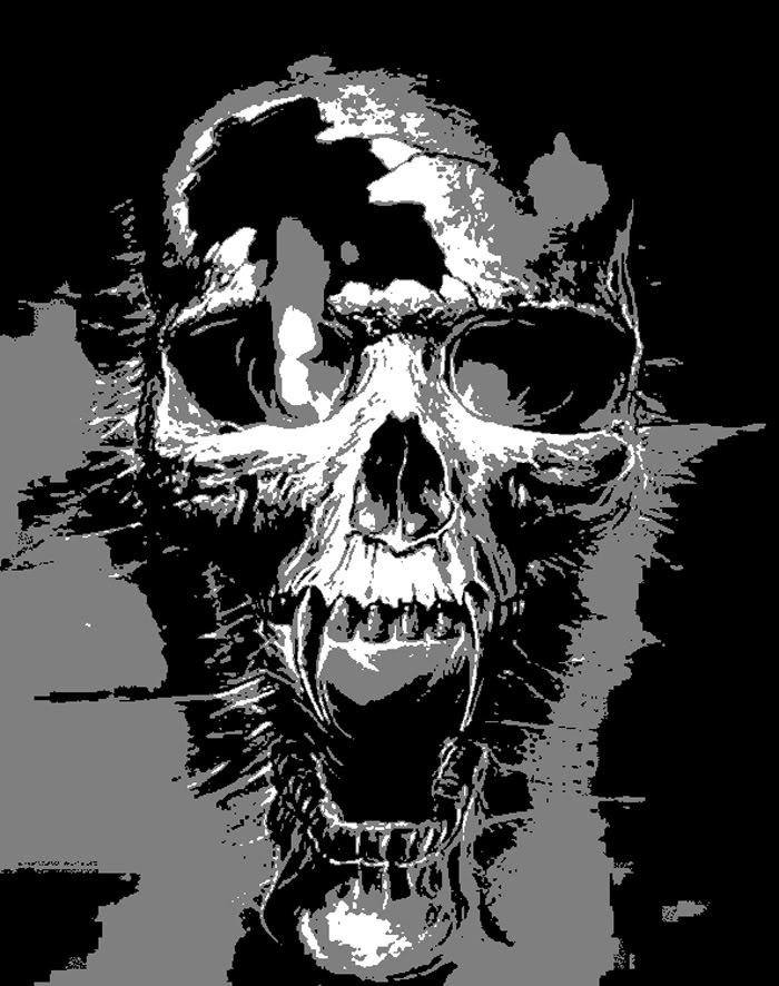 Name:  skull_patt.jpg
Views: 27
Size:  117.2 KB