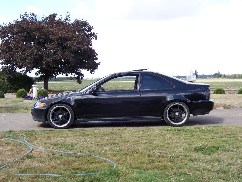 Name:  Chop-3.jpg
Views: 83
Size:  142.8 KB