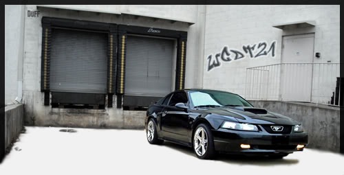 Name:  wgdt21copy.jpg
Views: 20
Size:  24.7 KB