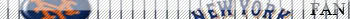 Name:  NYMetscopy.jpg
Views: 26
Size:  7.8 KB