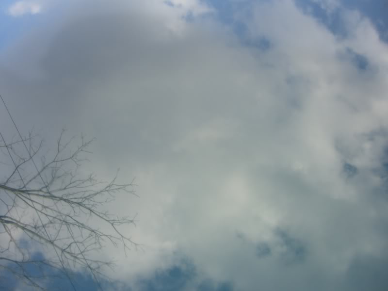Name:  CIMG1159.jpg
Views: 77
Size:  37.7 KB