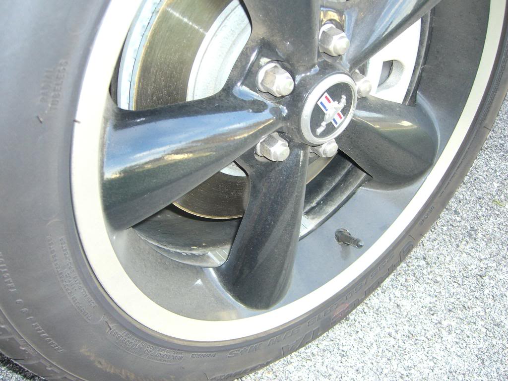 Name: CIMG1048.jpg
Views: 113
Size: 148.2 KB