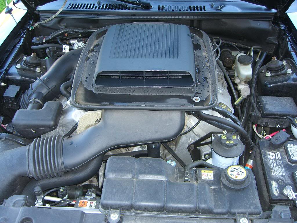 Name: CIMG1075.jpg
Views: 134
Size: 177.8 KB