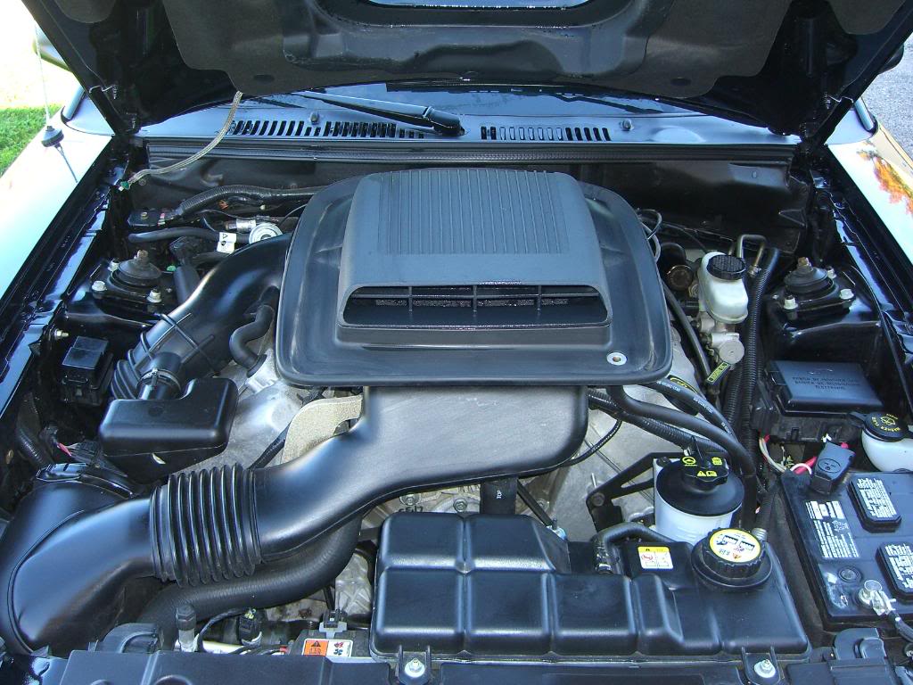Name: CIMG1076.jpg
Views: 179
Size: 168.0 KB