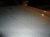  Rate my Shine-dsc00231.jpg