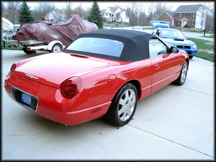 Name:  T-Bird.jpg
Views: 50
Size:  85.3 KB