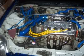 Name: 100_4907.jpg
Views: 113
Size: 18.5 KB