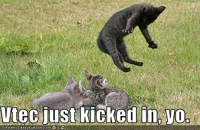 Name:  CatVTECjustkickedinyo.jpg
Views: 697
Size:  33.3 KB