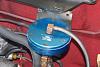 What are these?-dsc_6368.jpg