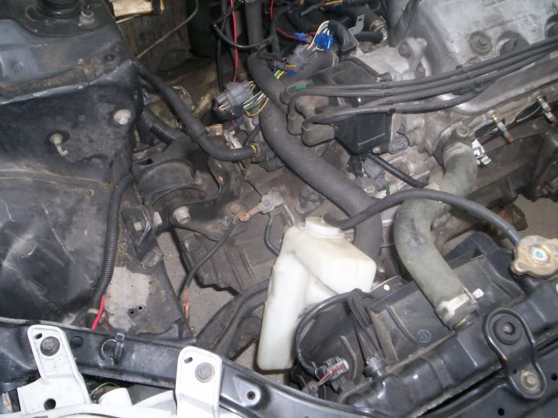Name:  100_2530.jpg
Views: 1499
Size:  90.2 KB