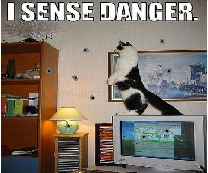 Name:  dangercat.jpg
Views: 37
Size:  70.5 KB