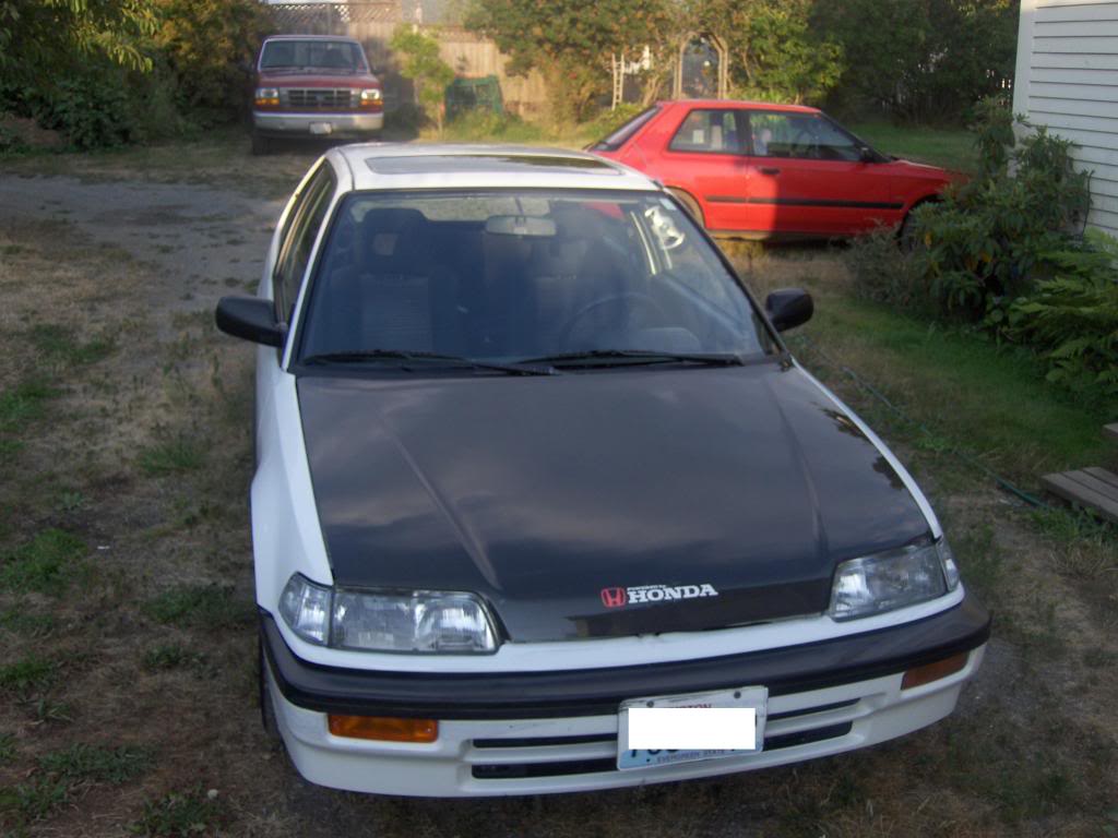 Name: HPIM4255.jpg
Views: 23
Size: 101.9 KB