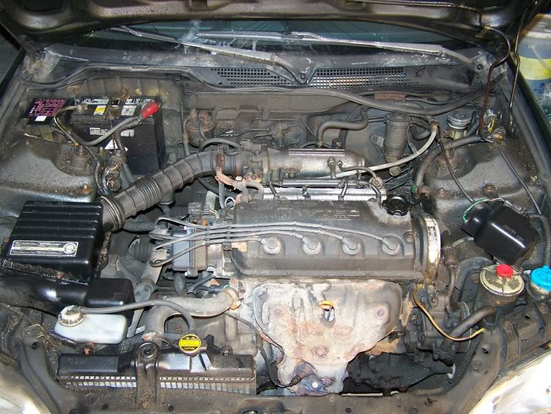 Name:  100_4061.jpg
Views: 16
Size:  148.7 KB