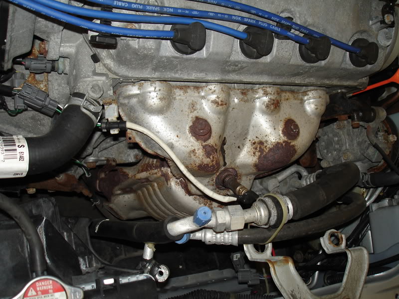 Name: DXtoEXexhaust004.jpg
Views: 39
Size: 110.5 KB