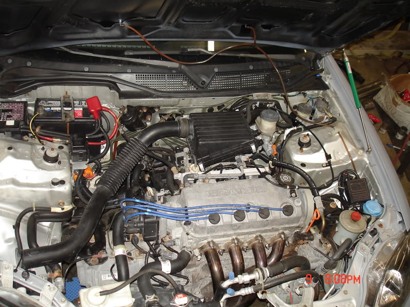 Name: DXtoEXexhaust057.jpg
Views: 47
Size: 135.4 KB