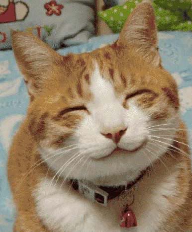 Name:  smile1.jpg
Views: 55
Size:  34.7 KB