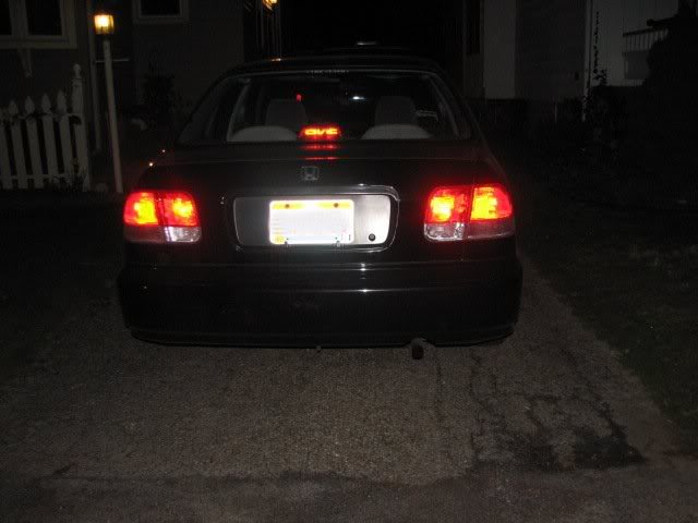 Name: BackofLucy.jpg
Views: 37
Size: 31.4 KB