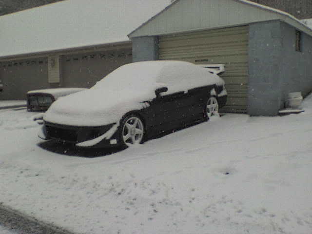 Name: 1stsnow2007-08.jpg
Views: 23
Size: 17.9 KB