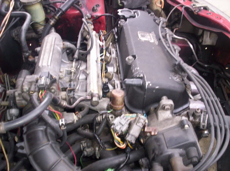 Name: newwhip004.jpg
Views: 60
Size: 77.7 KB