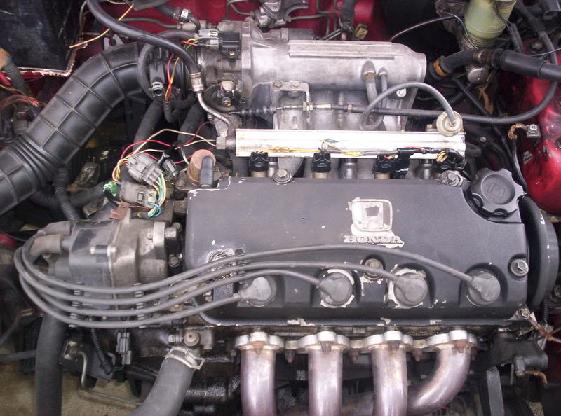 Name:  newwhip003.jpg
Views: 3203
Size:  88.8 KB