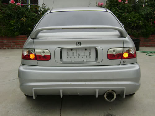 Name:  back-wEXH.jpg
Views: 65
Size:  28.7 KB