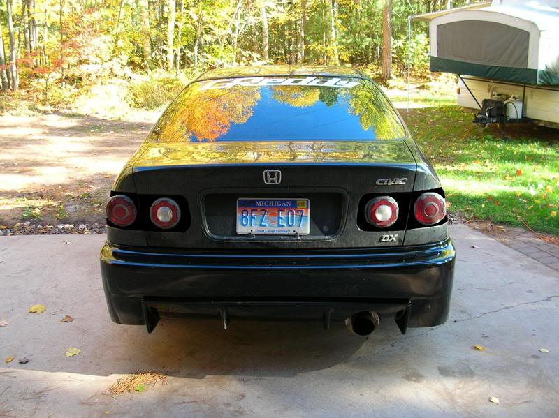Name:  blacktails1.jpg
Views: 93
Size:  94.7 KB