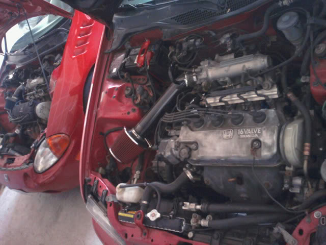 Name: Photo0277.jpg
Views: 48
Size: 54.0 KB