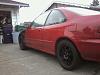 Looking for Advice-picture0237.jpg
