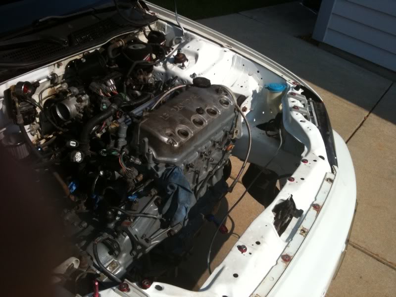 Name:  photo7.jpg
Views: 37
Size:  76.3 KB