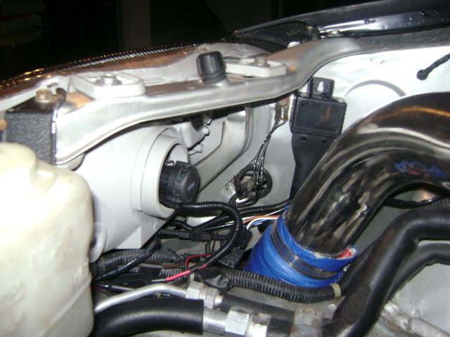 Name:  061210-HIDsinstalled4.jpg
Views: 29
Size:  74.7 KB