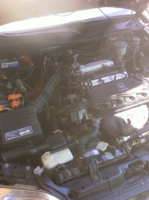 Name:  motor2.jpg
Views: 1172
Size:  36.2 KB