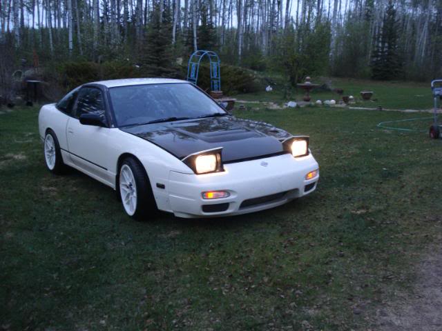 Name: MAY2010180sx017.jpg
Views: 34
Size: 61.5 KB