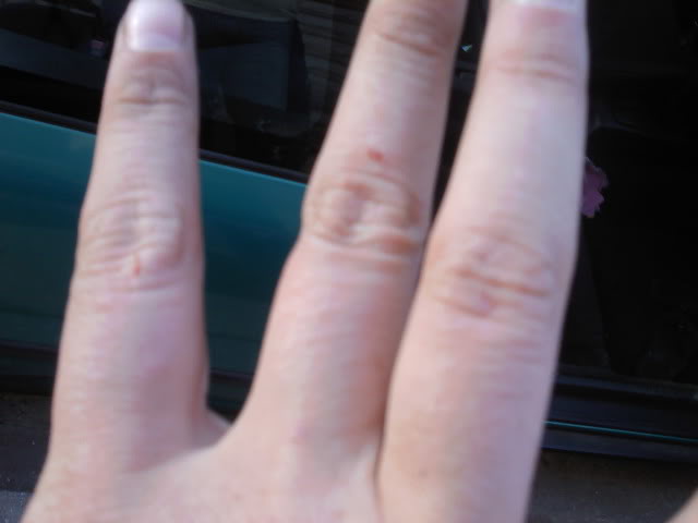Name:  0510001930.jpg
Views: 40
Size:  29.5 KB