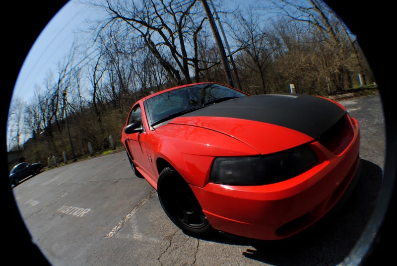 Name: Mustang5.jpg
Views: 32
Size: 108.8 KB
