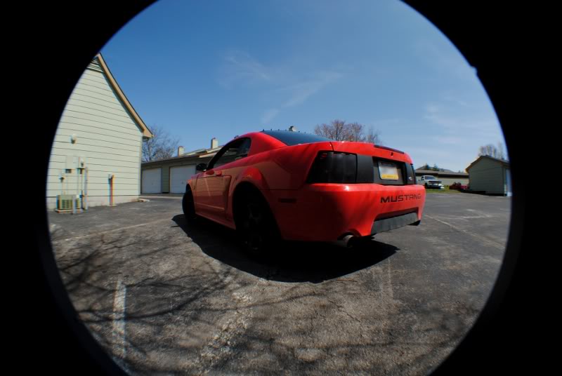 Name: Mustang4.jpg
Views: 38
Size: 55.1 KB