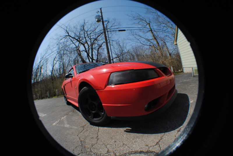 Name: Mustang2.jpg
Views: 37
Size: 64.2 KB
