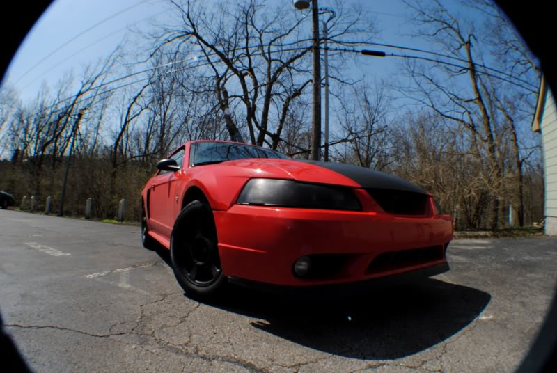 Name: Mustang1.jpg
Views: 36
Size: 84.8 KB