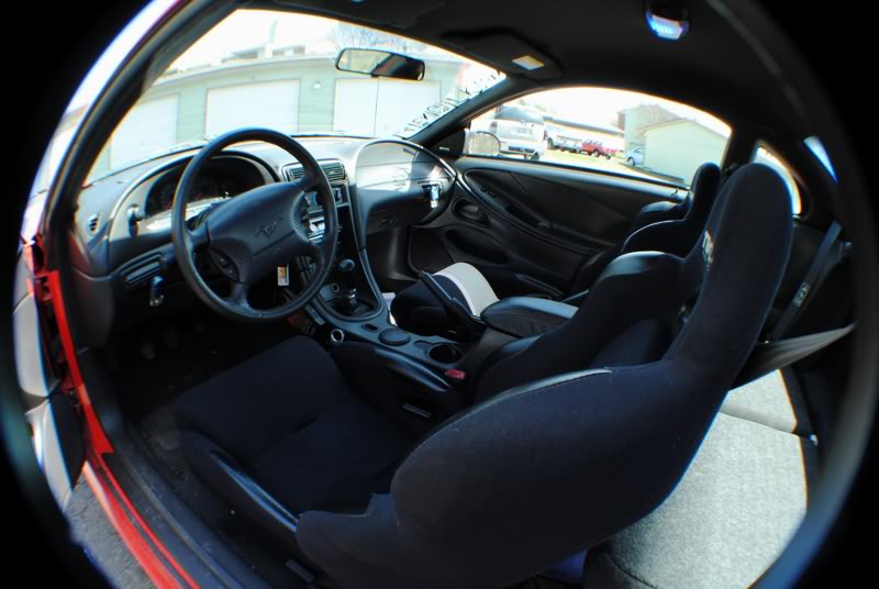 Name: MustangInterior.jpg
Views: 32
Size: 60.7 KB