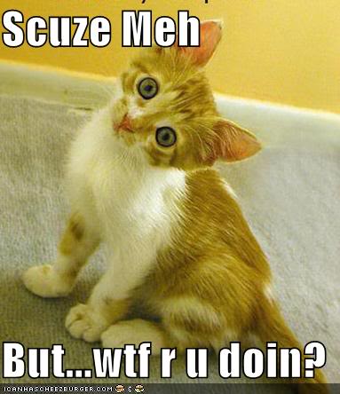 Name:  xcuse.jpg
Views: 93
Size:  29.8 KB