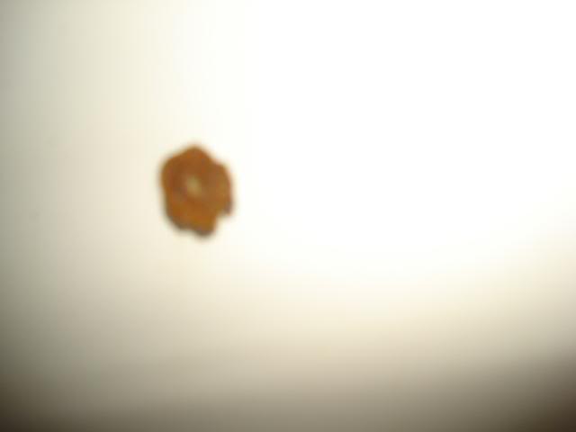 Name: Picture028.jpg
Views: 29
Size: 11.8 KB
