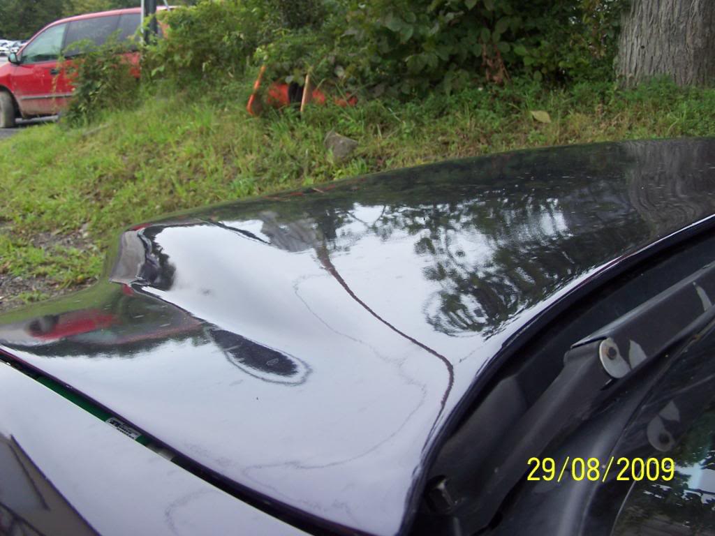 Name:  100_3317.jpg
Views: 91
Size:  100.3 KB