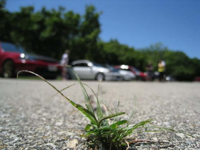 Name:  IMG_2184.jpg
Views: 130
Size:  51.9 KB