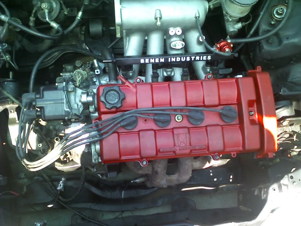 Name:  PIC-0383.jpg
Views: 34
Size:  109.2 KB