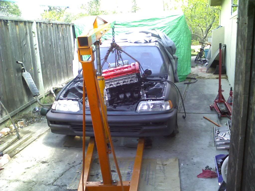 Name:  PIC-0339.jpg
Views: 23
Size:  113.0 KB