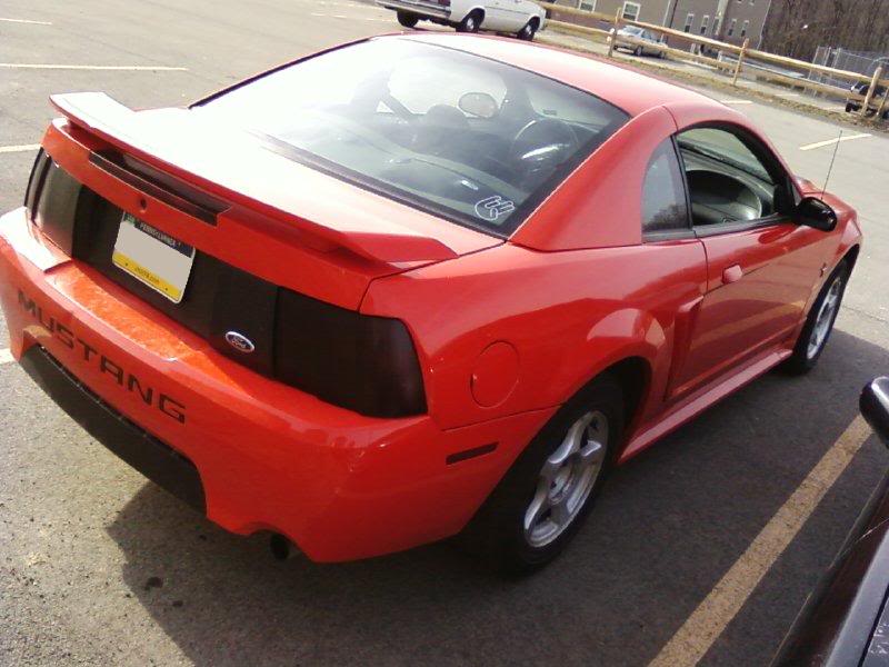 Name: pics025.jpg
Views: 27
Size: 68.8 KB