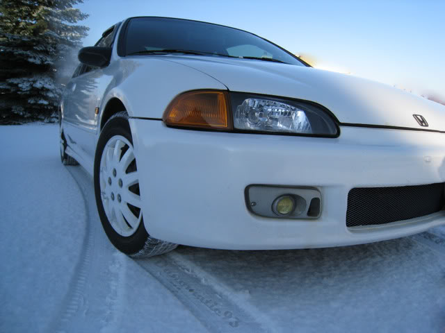 Name:  IMG_1300edit2.jpg
Views: 68
Size:  44.7 KB